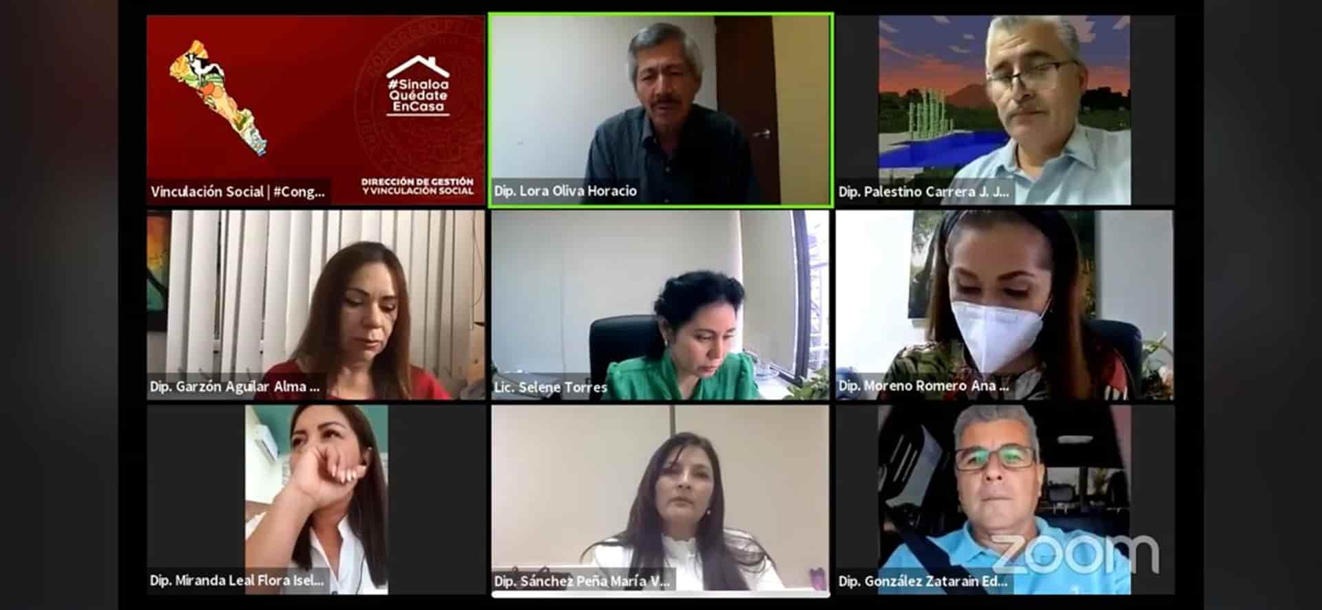 FOTO: Captura de videoconferencia.