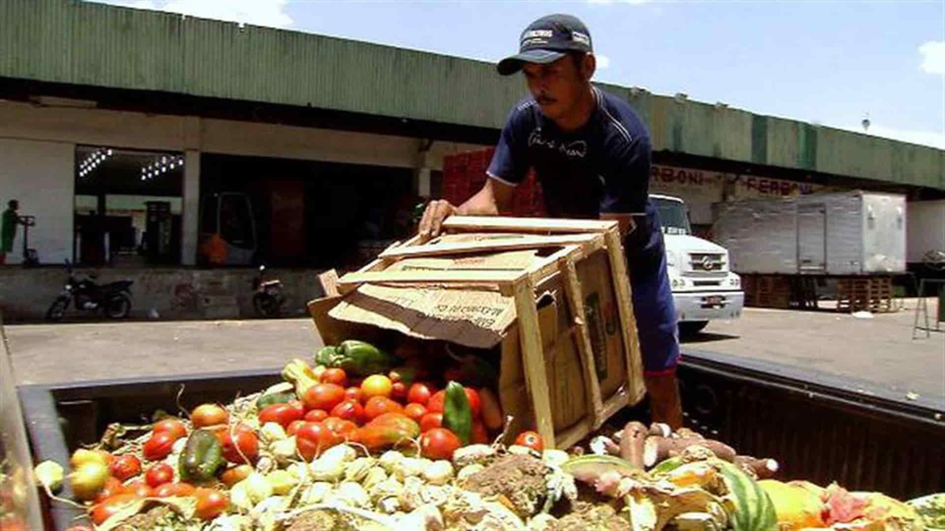 El mundo desperdició 931 millones de toneladas de alimentos en 2019: ONU