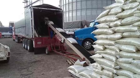 Sinaloa garantizará acopio de frijol por tres meses para estabilizar precios: SAyG