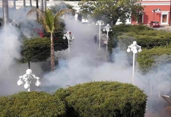 Ayuntamiento intensifica fumigaciones contra el mosco en El Fuerte