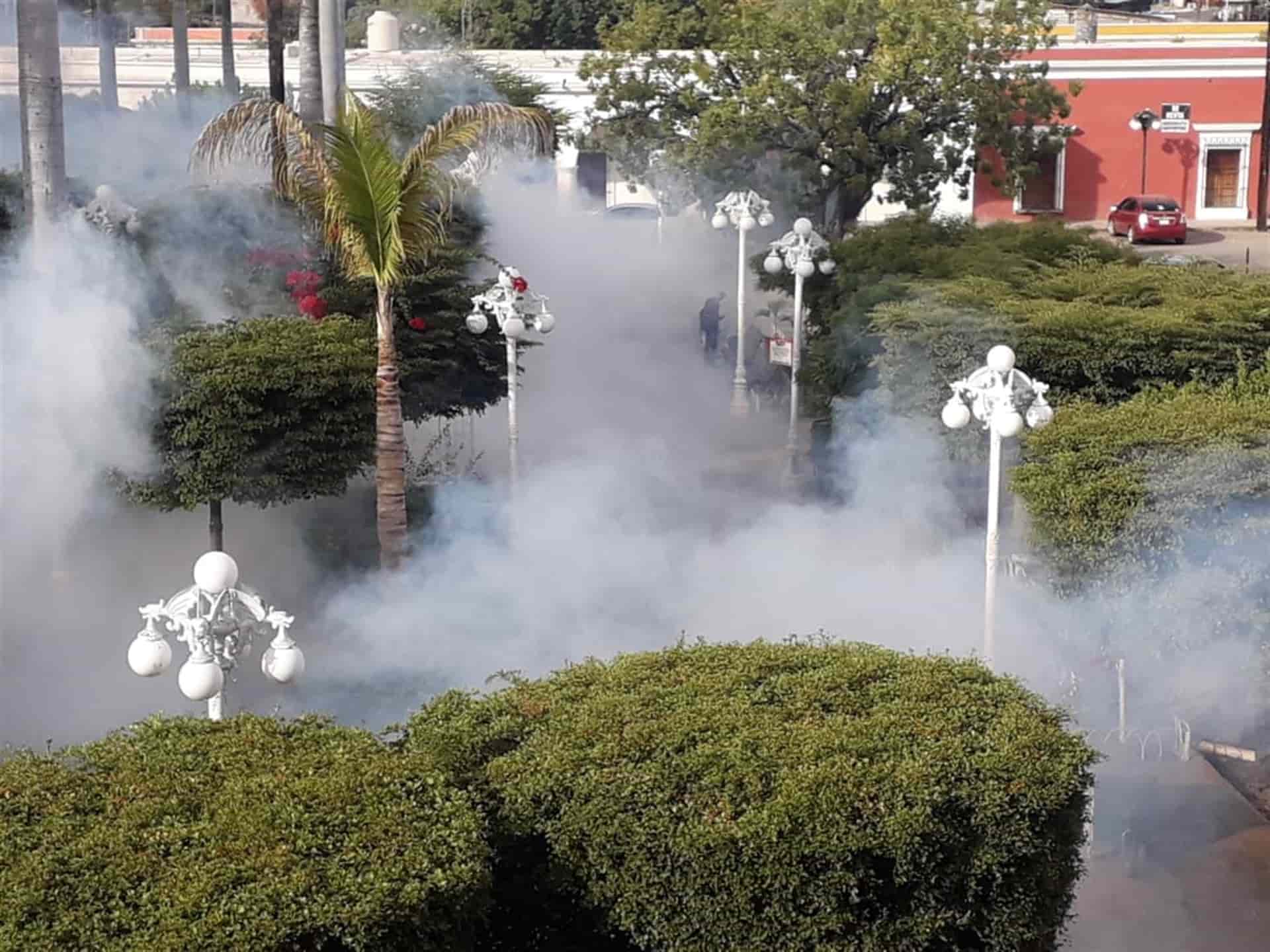 FOTO: Ayuntamiento de El Fuerte.