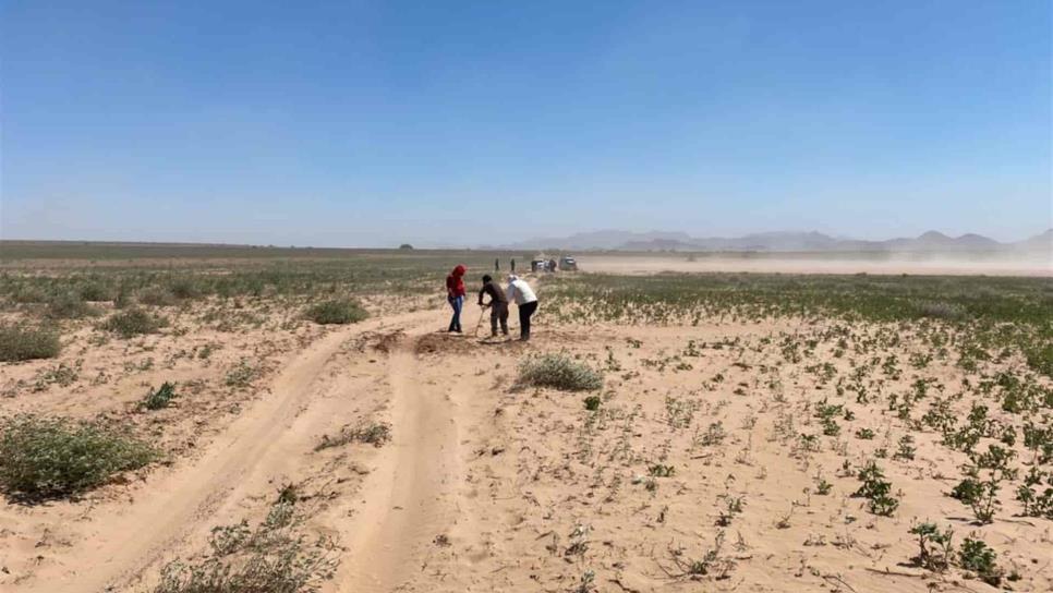 Encuentran otras cuatro fosas en Huacaporito, van nueve cuerpos