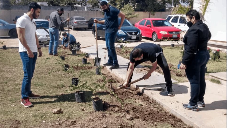 Reforestan instalaciones de Servicios Regionales de la SEPyC con 300 plantas