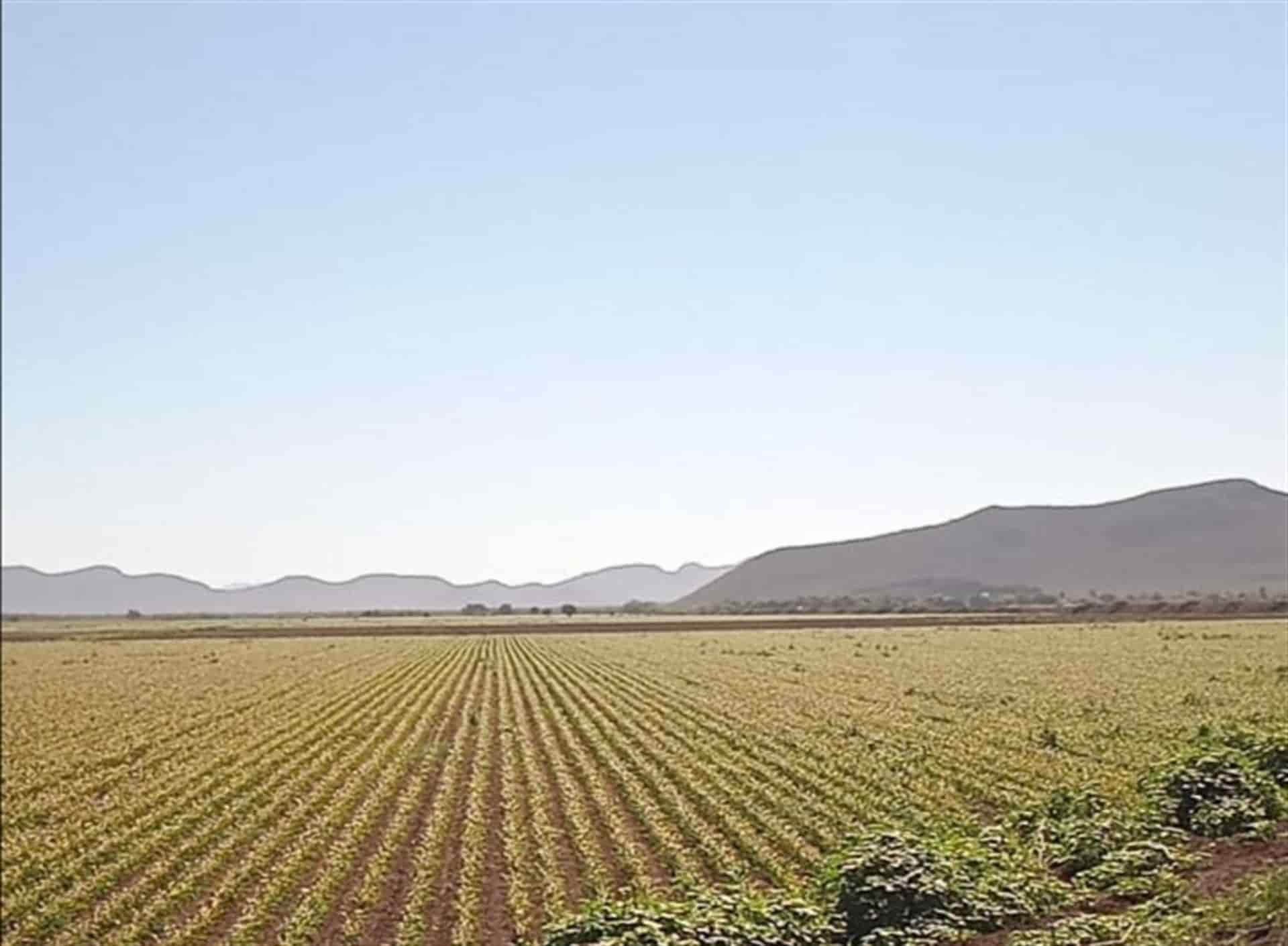 FOTO: Luz Noticias | Archivo.