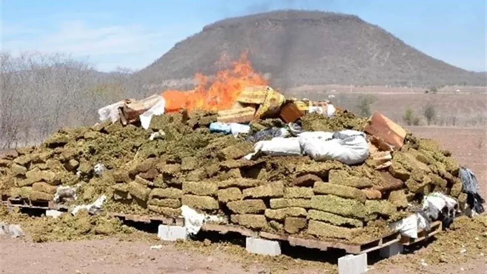 Fiscalía General de la República incinera toneladas de droga y químicos