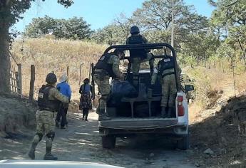 Recua de burros se atraviesa a militares en Choix y caen a un barranco