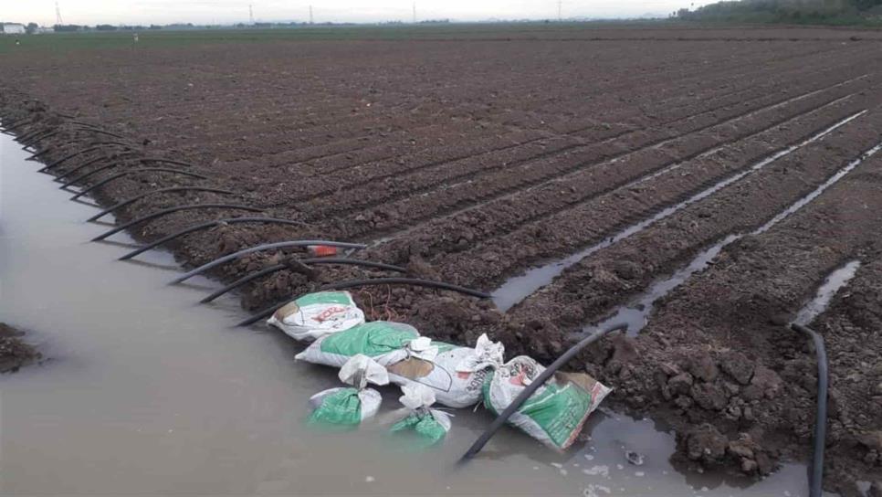 Es criminal usar el agua potable para regar cultivos: Socorro Calderón