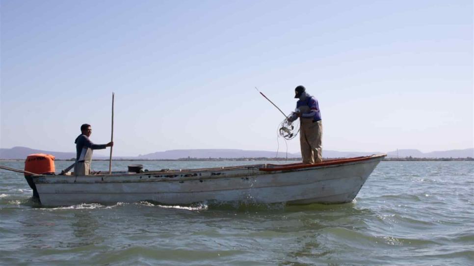 Pescadores aún esperan respuesta del Secretario de Hacienda para un subsidio al combustible