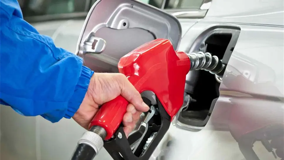 FOTO: altonivel.com.mx