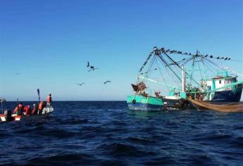Embargo camaronero provocaría pérdidas por 300 mil millones de dólares