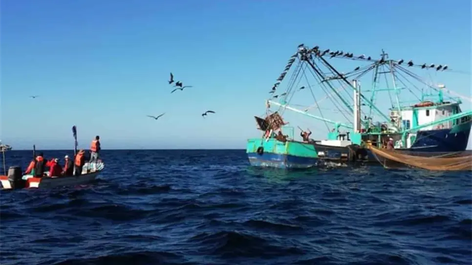 Embargo camaronero provocaría pérdidas por 300 mil millones de dólares