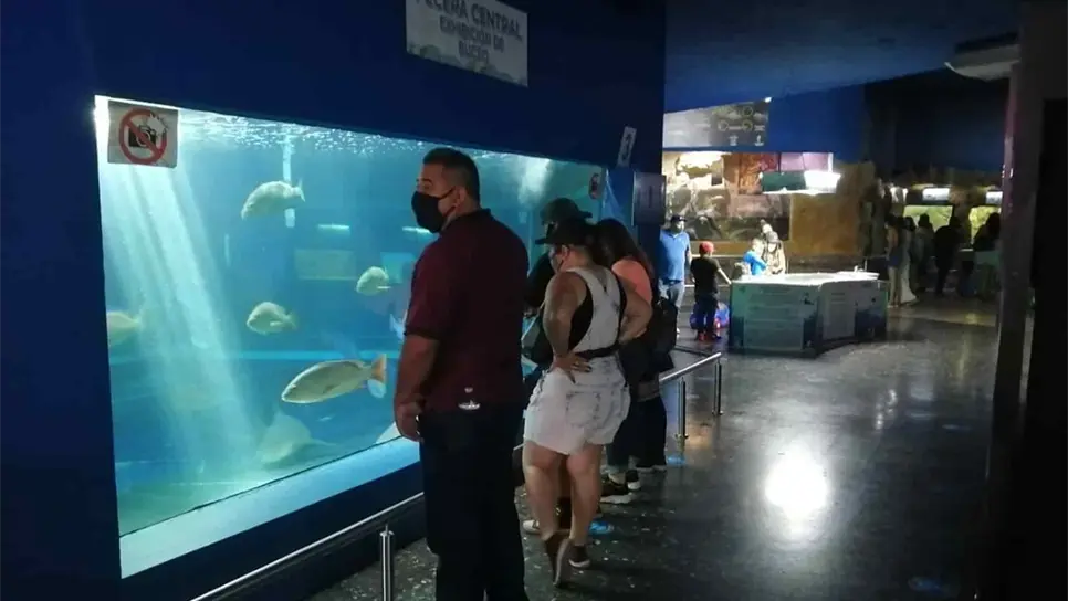 Espera Acuario Mazatlán aforo de 4 mil 500 visitantes por día