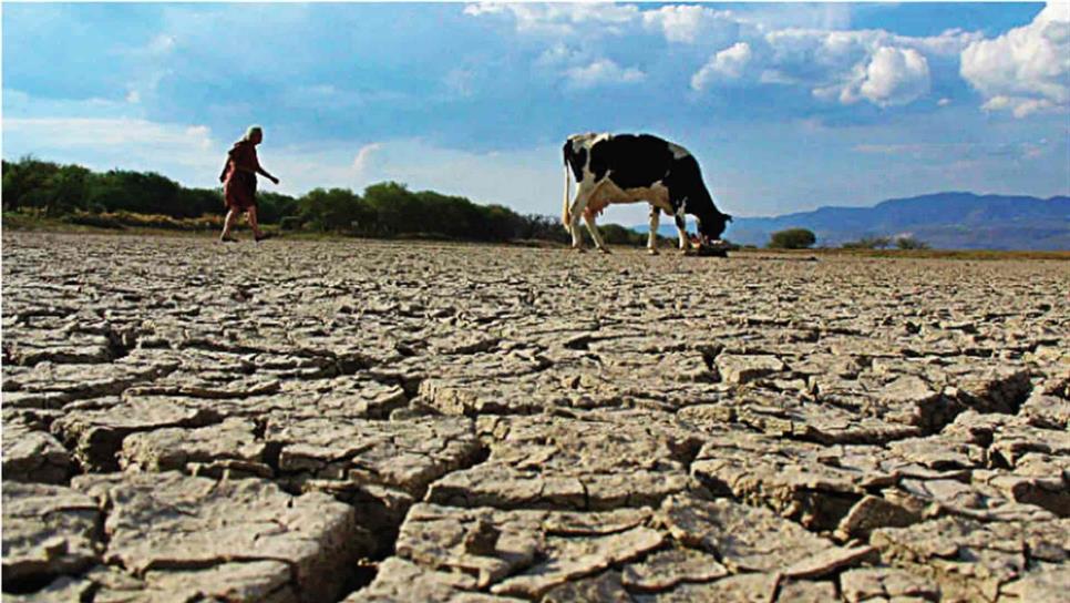 Prevén escenario más difícil de sequía