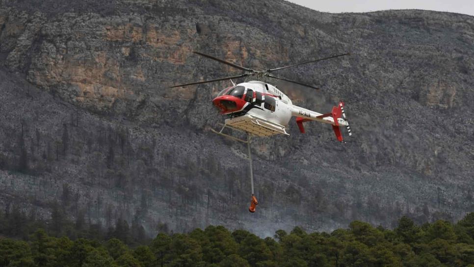 México reporta 55 incendios forestales activos que afectan a 30 mil 454 hectáreas