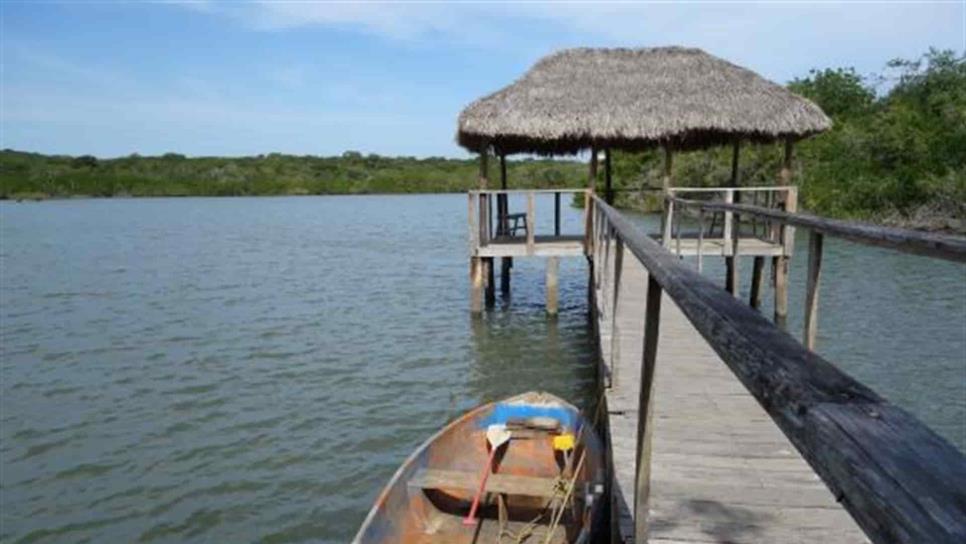 Estero del Yugo: una área de riqueza ambiental en Mazatlán