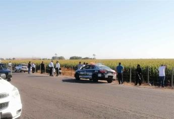 Junto a tierras de cultivo y con golpes, localizan cadáver de jornalero
