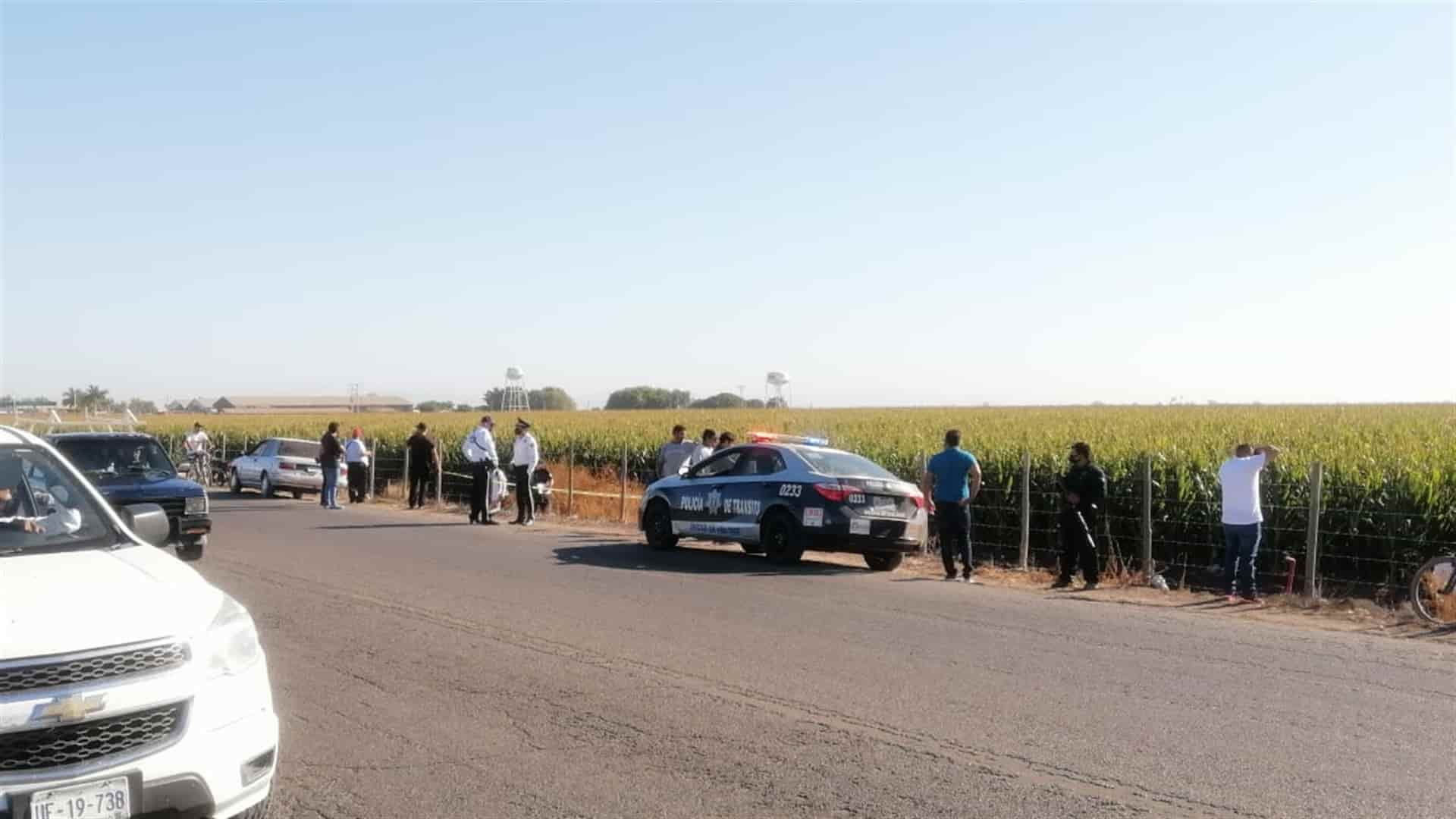 Junto a tierras de cultivo y con golpes, localizan cadáver de jornalero