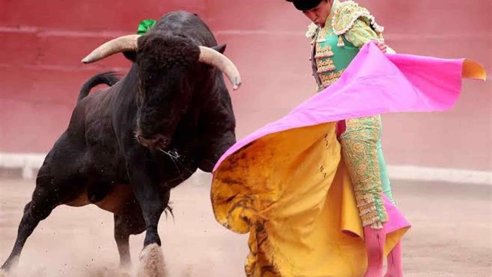 Gobernador devuelve reforma que tipifica como delito los espectáculos de tauromaquia
