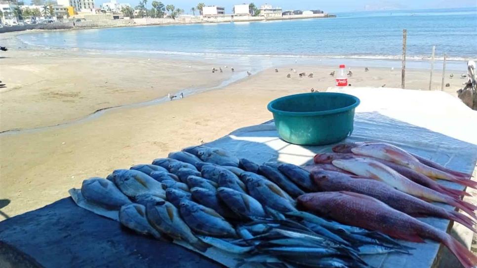 Hay demanda, pero escasean pescados y mariscos en Mazatlán