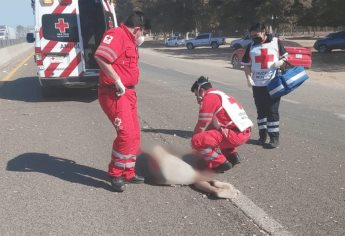 CEDH inicia investigación de oficio por muerte de joven en El Tajito