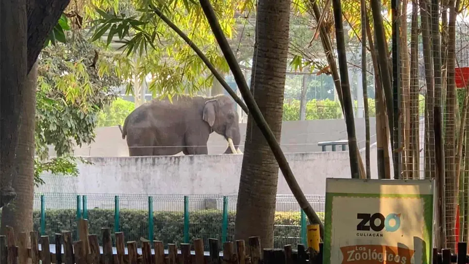 FOTO: Brianda López.