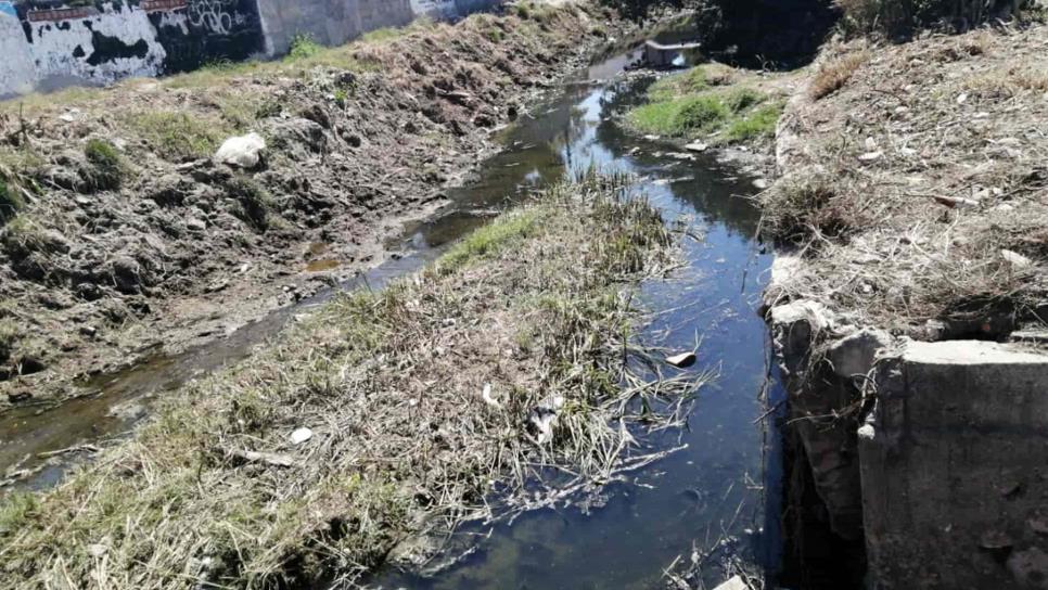 Rellenan con basura y escombro canales y arroyos de Mazatlán