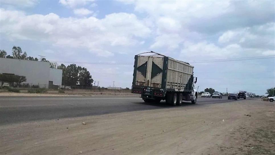 Autotransporte de carga se recupera económicamente, aunque con dificultades