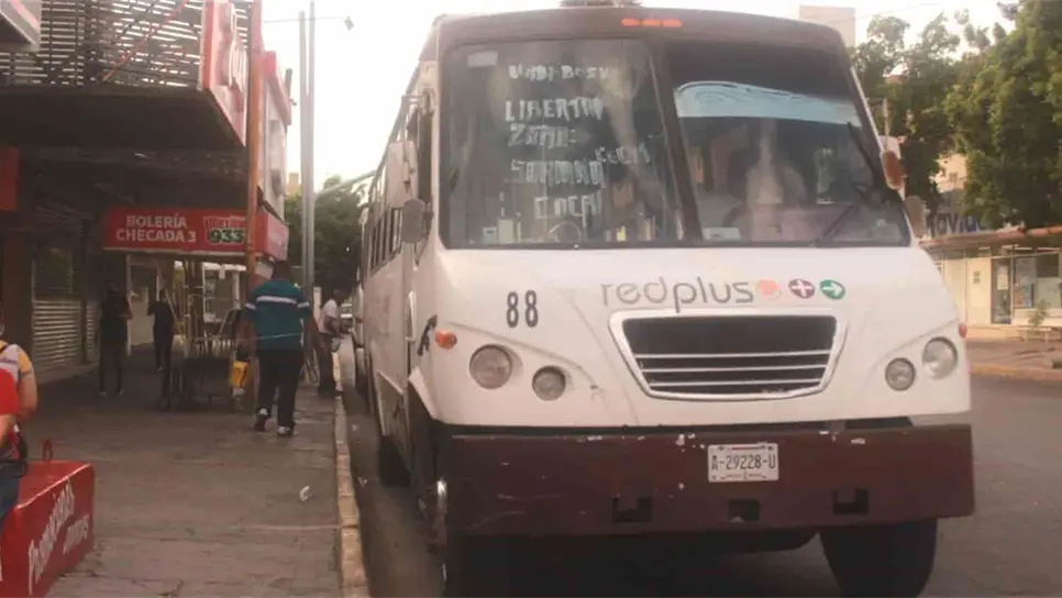 FOTO: Luz Noticias | Temática.