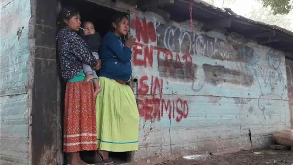 Mas de 300 mil pesos de multa a quien contrate a menores en campos agrícolas