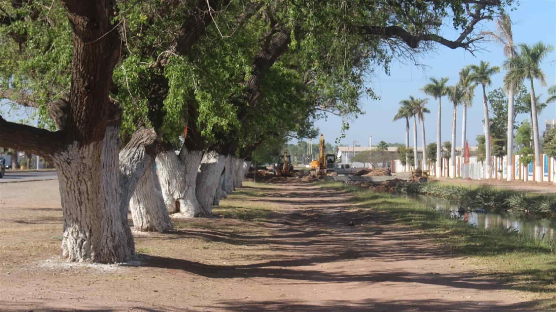 La zona de los Álamos es muy concurrida en Los Mochis. FOTO: Luz Noticias