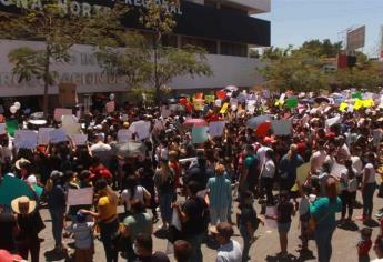 Exhortan al Congreso a aprobar dictamen de reforma a la Ley de Protección Animal