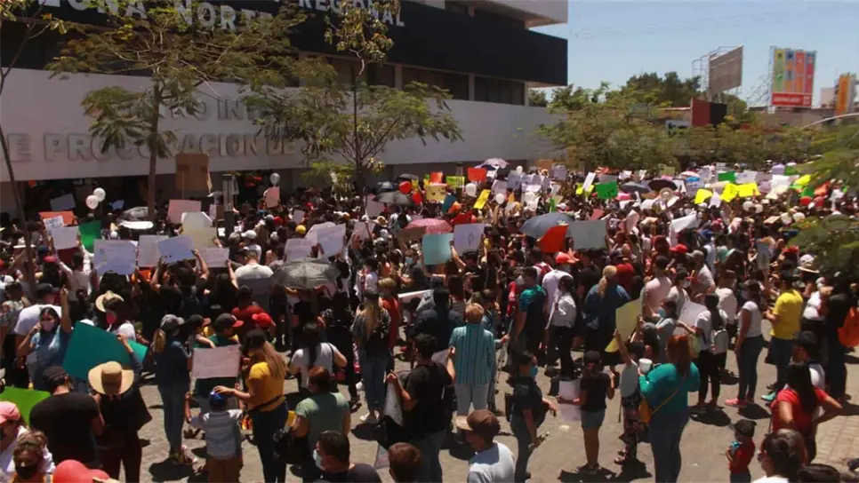 Exhortan al Congreso a aprobar dictamen de reforma a la Ley de Protección Animal