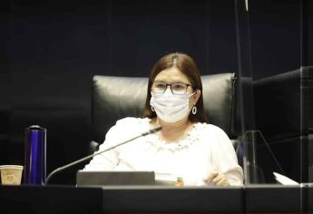 Padrón de telefonía no afectará derechos a la privacidad: Imelda Castro