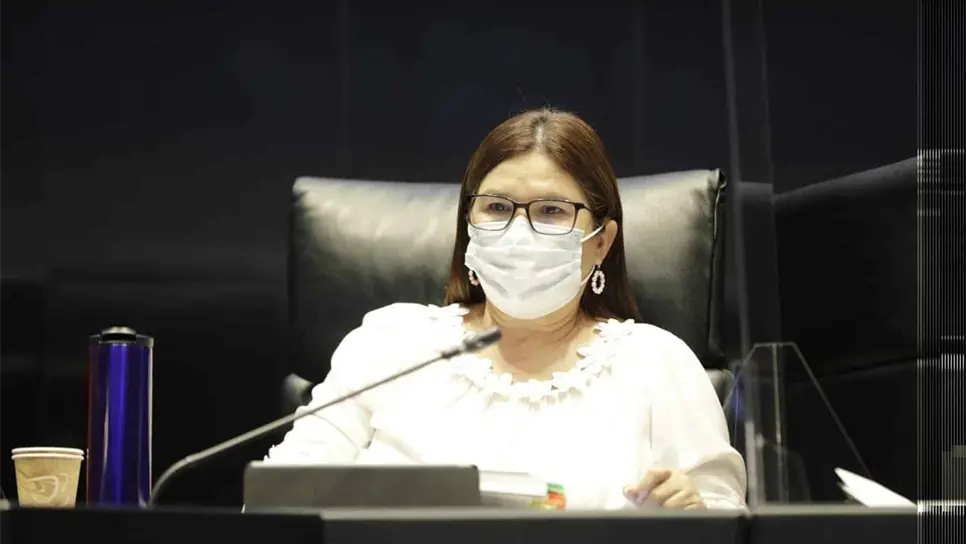 Padrón de telefonía no afectará derechos a la privacidad: Imelda Castro