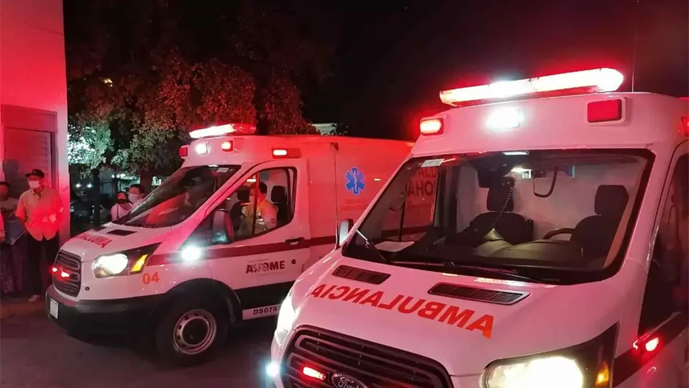 Dos niños lesionados tras ataque de abejas
