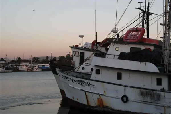 Armadores no quitan dedo del renglón por subsidio del diésel marino
