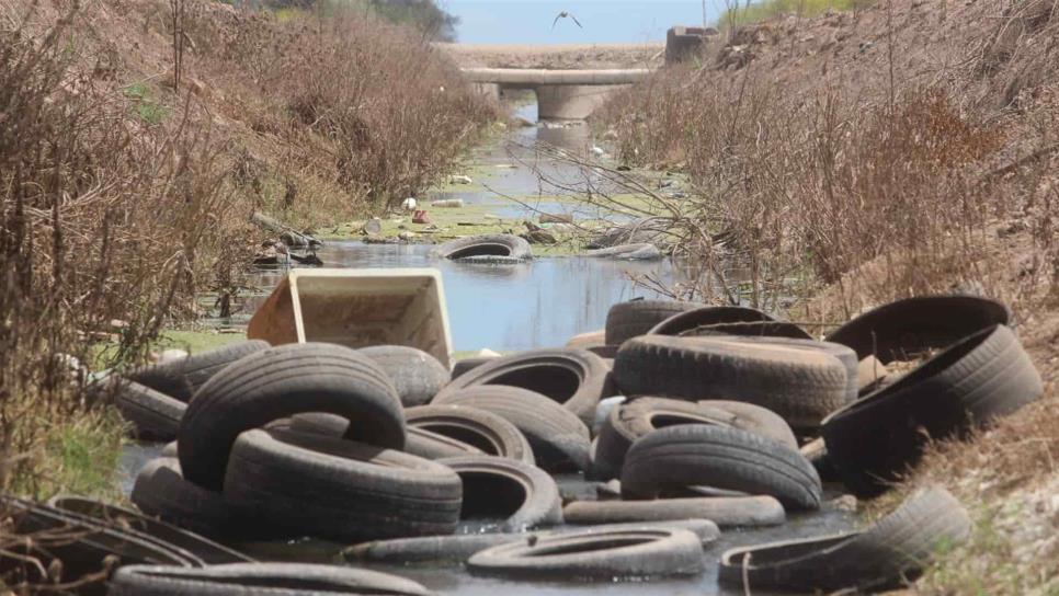 Dren Álamo, convertido en basurero