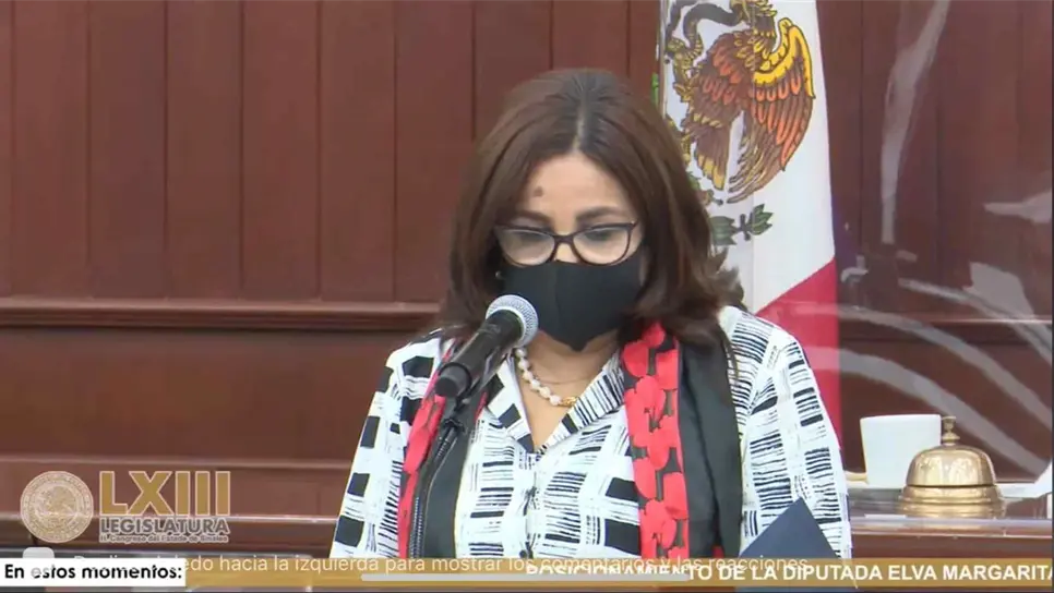 FOTO: Captura de videoconferencia.