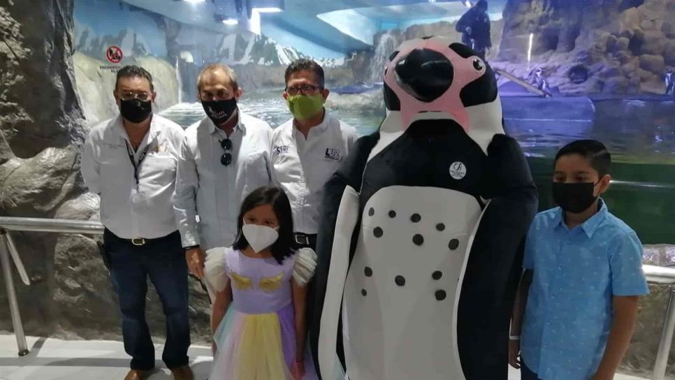 Kevin Zepeda, ganador del concurso para ponerle nombre a la mascota del Pingüinario