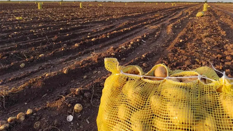 FOTO: Luz Noticias | Archivo.