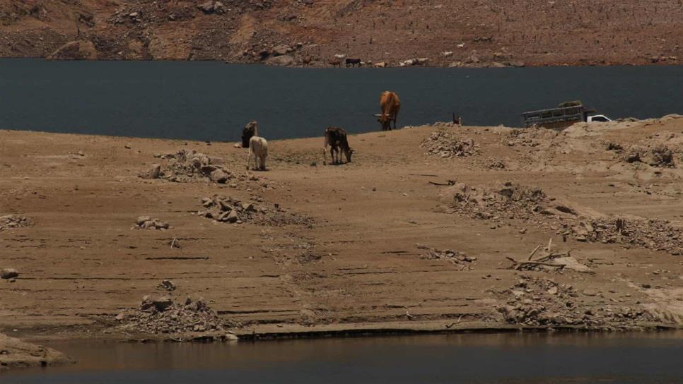 Ya sólo queda agua para consumo humano en las presas: Conagua