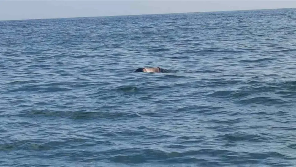 Localizan en Topolobampo a hombre que se arrojó del ferrie el sábado