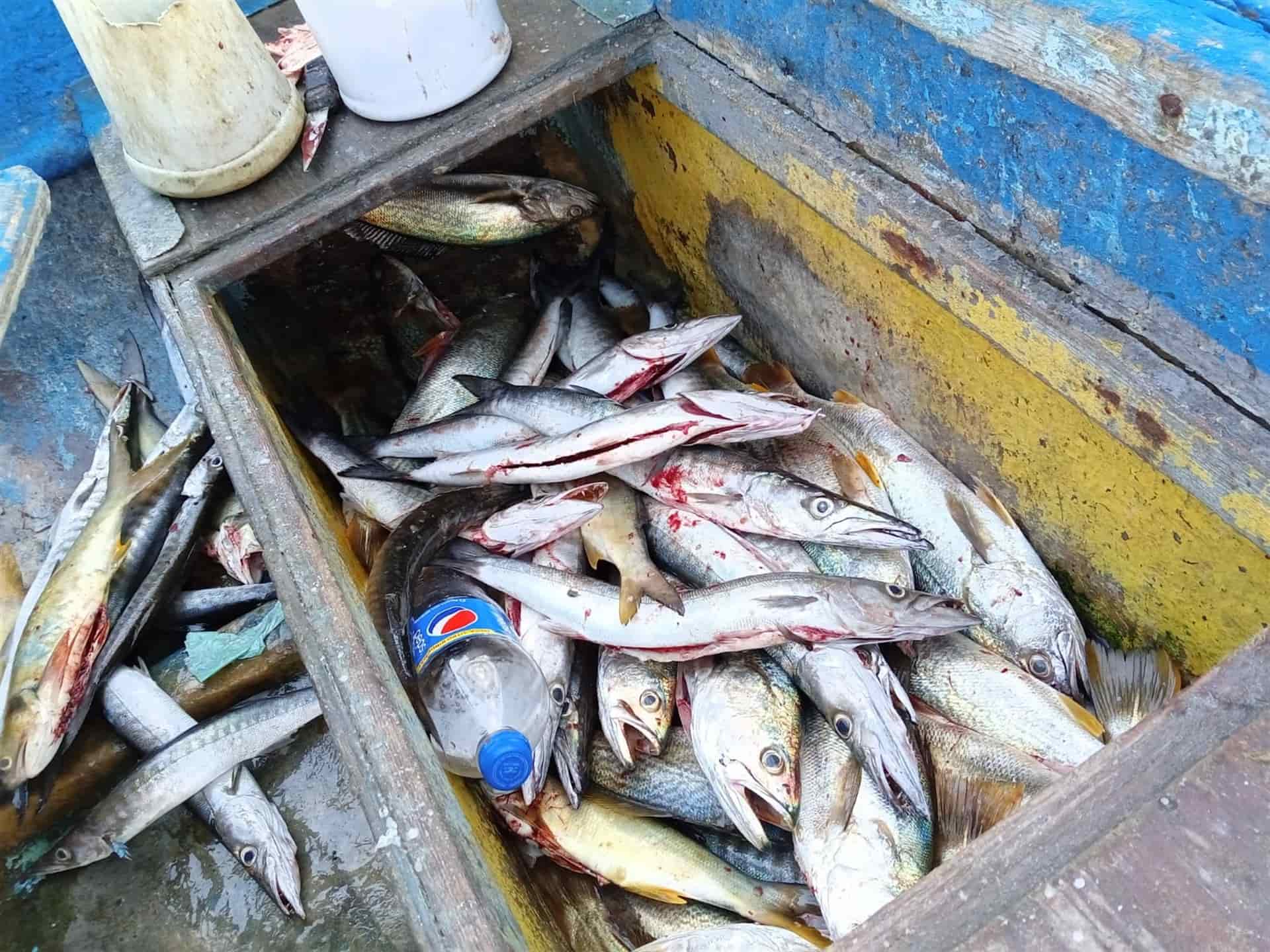 FOTO: Teresita Rodríuez.