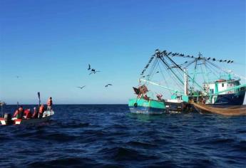 Pescadores denuncian que nadie vigila el mar