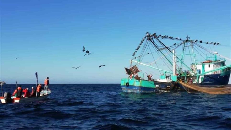 Pescadores denuncian que nadie vigila el mar