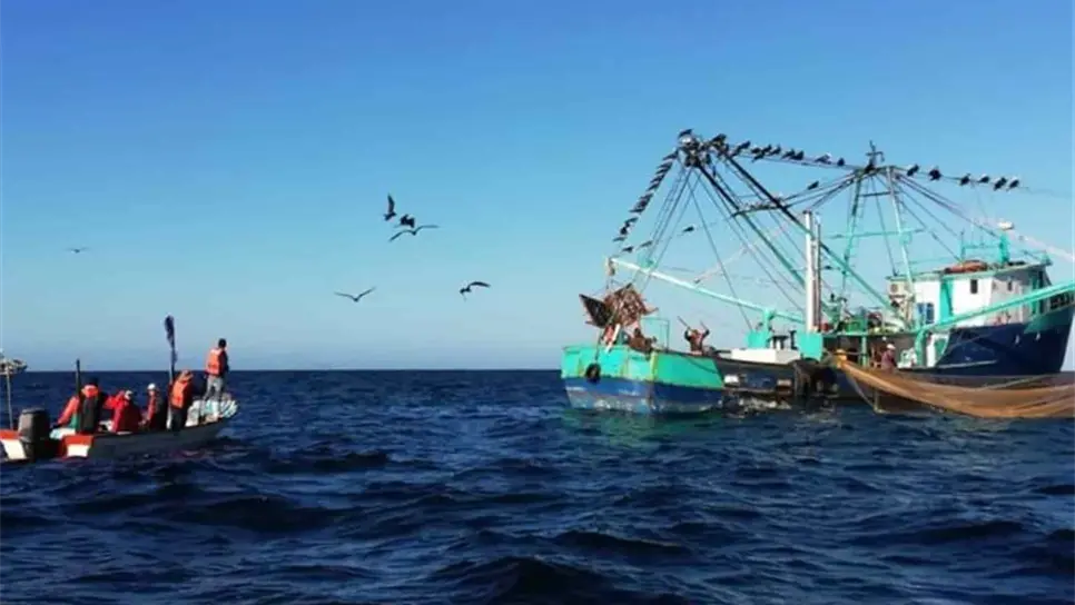 FOTO: Luz Noticias | Temática.