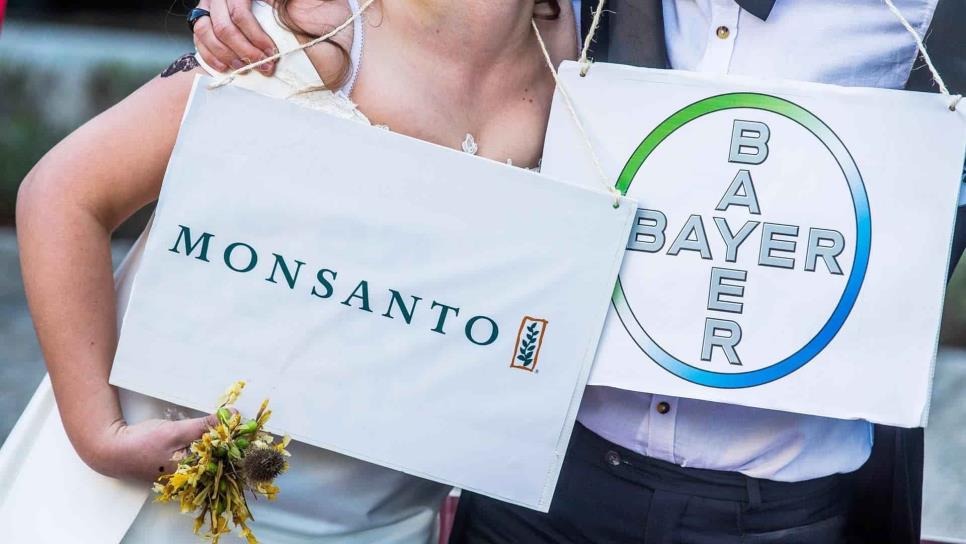 Tribunal revoca amparo concedido a Monsanto por uso de glifosato