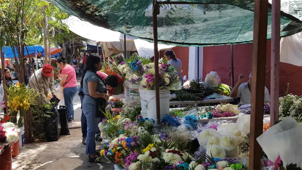 Reportan bajas ventas de flores en el Panteón Civil de Culiacán