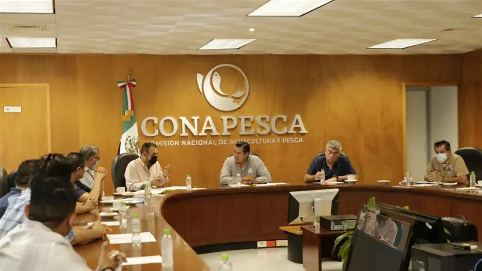 Piden armadores a Conapesca se sume para recuperar la certificación del camarón
