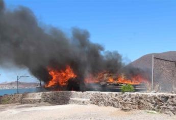 FGR incinera 100 t de narcóticos y miles de litros de precursores químicos